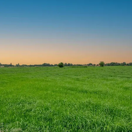Bianco * Alphen (North Brabant)