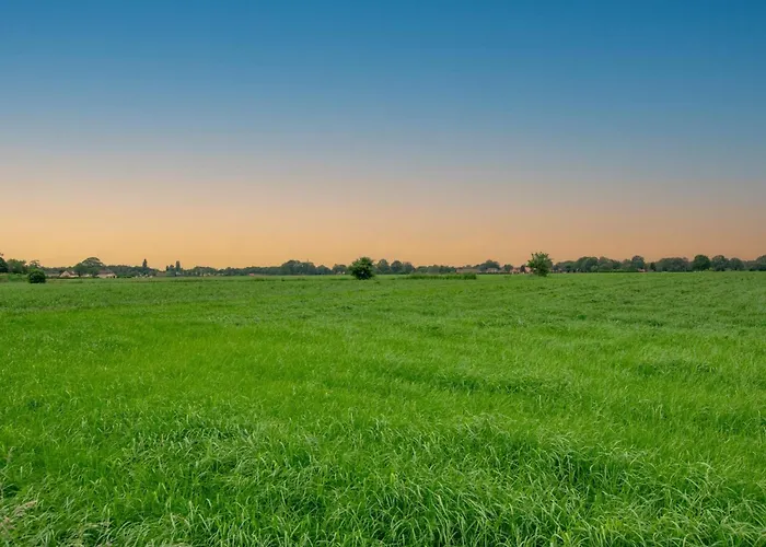 Bianco * Alphen (North Brabant)